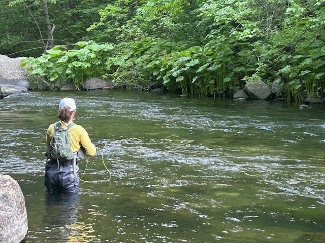 Angler wading in a tree-lined river with visible surface currents