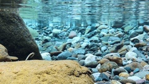 Clear stream water flowing over a gravel-covered riverbed and rocks